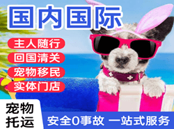 西庆国际宠物托运 【国